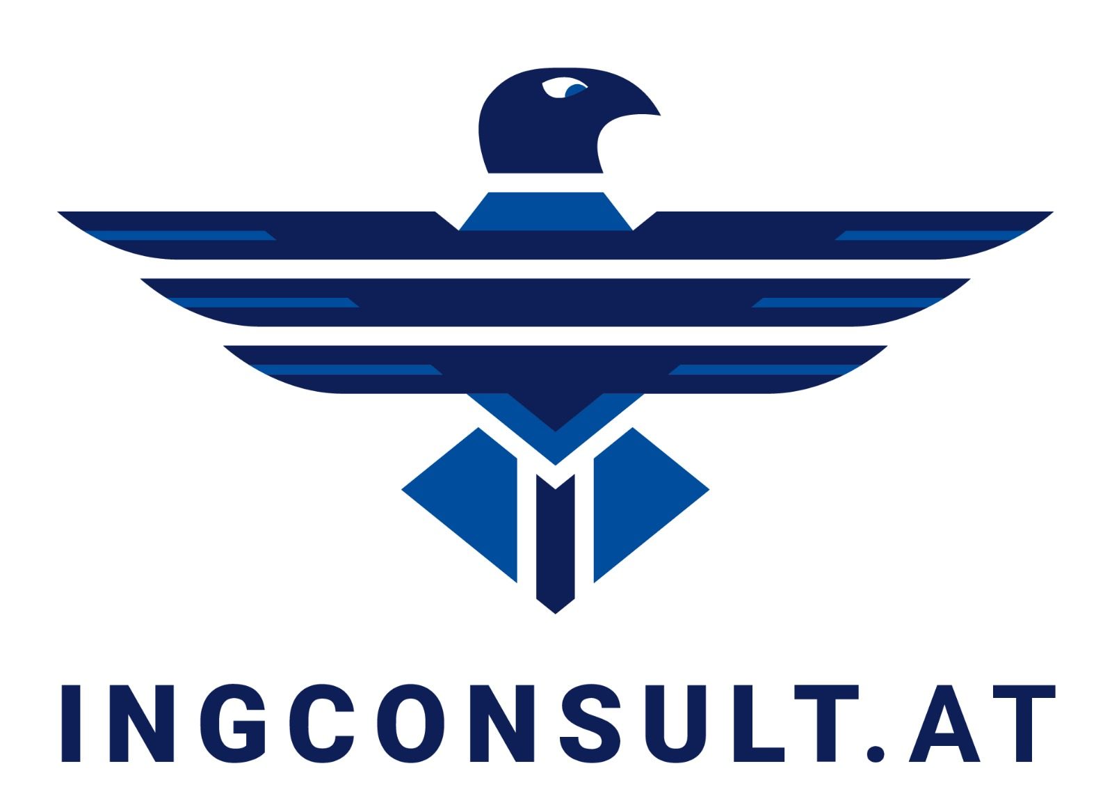 ING Consult